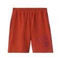 Shorts B*rB*rry